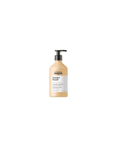 Loreal S. Expert Absolut Repair Mask 500ml