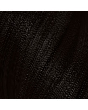 Seiseta Keratin Line Hair Extensions 50-55cm/ 2